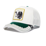 Goorin Bros | The Cash Cow | Ripped White Green