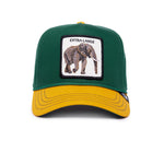 Goorin Bros | Extra Large Elephant | Baseball Green Yellow