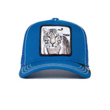 Goorin Bros Kids | The Tiger | Blue